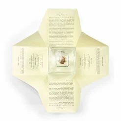 Ærlig - Eau De Parfum -Louise Smærup shop aerlig parfume aerlig aerlig eau de parfum p04 1275931 scaled